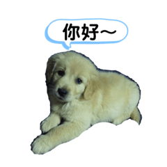 拉娃