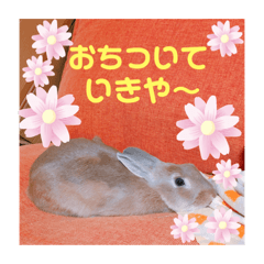 rie_20190506195905