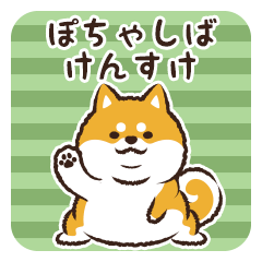 Pocha Shiba Kensuke – LINE stickers | LINE STORE