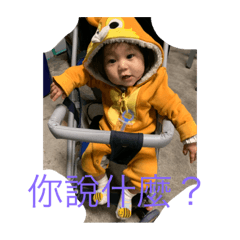 肉圓日常生活