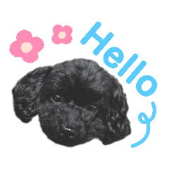 yukko_20190506121839