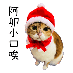 阿卯小口唉