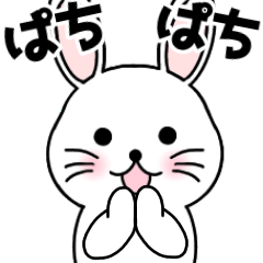 Rabbit New Year's Day-