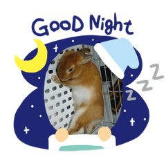 natsumi_20190506195943