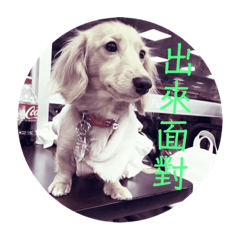 邱翟奶茶