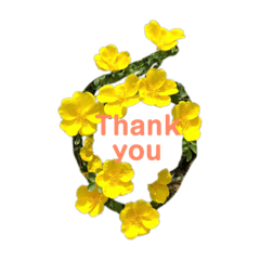 2019春Flower Thank you1