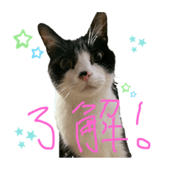 Chinatsu_20190506141104