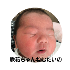 yuta--hana