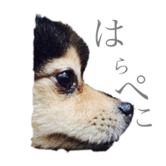risa_20190503112111