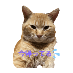 Sakani