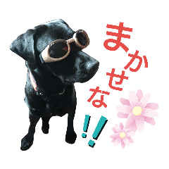 ace_20190507212859