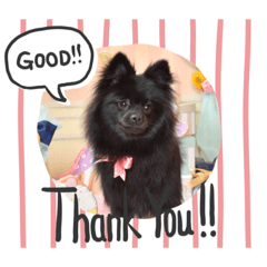 hana_20190508101150