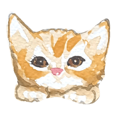 CAT Latte_Chen_maggie_2019 1