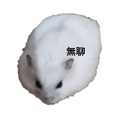 湯圓的日記