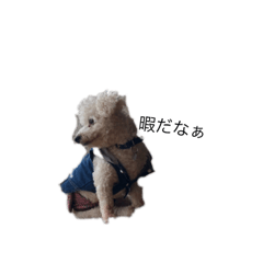 moko_20190508182543