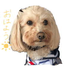 kotaro_0807