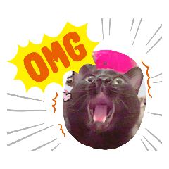 Hikari_20190508205352