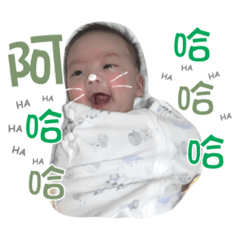 小龍貓表情包 v1