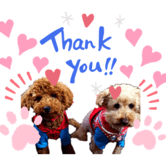 saori_20190508220903