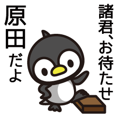 Harada Penguin Sticker