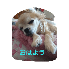 hinata_201902525185