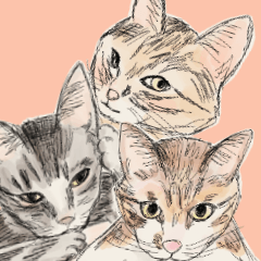 三隻貓（花生，Mochi，芝麻）