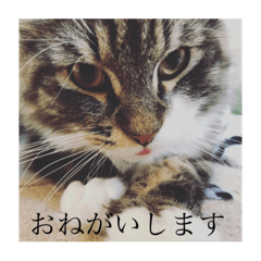 rika_2019050823003