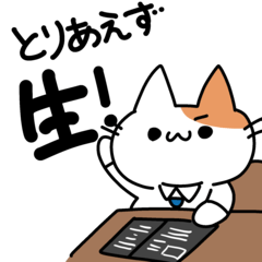 おじさん猫（肥満）の日常