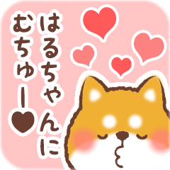 Love Sticker to Haruchan from Shiba 2