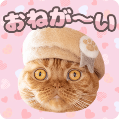 Cats' Hair Hats 04