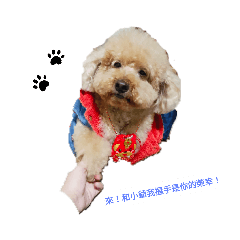 短腿兄弟