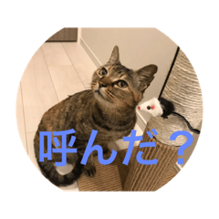 Yuichi_20190509