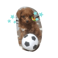 ken_20190509150639