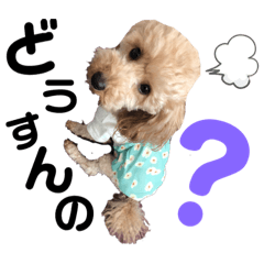 hana_20190509204459