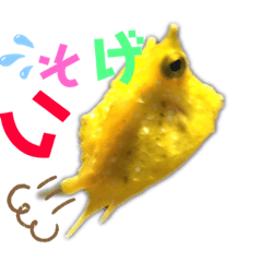 Saya_20190507205744