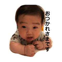 pecopooh_20190509154211