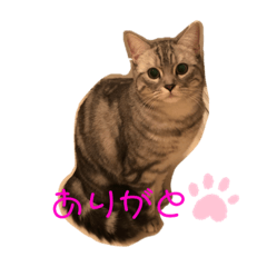 mako_20190509180443