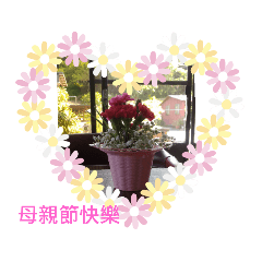 媽媽辛苦了-母親節用語篇