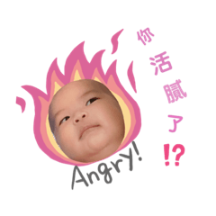 椪柑表情包