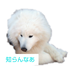 sky_20190509225618