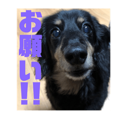 junjun_20190510110838