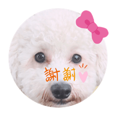 arisa_20190510082218