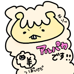 Alpaca like a sheep