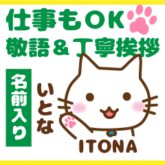 ITONA:Polite greetings.Animal Cat