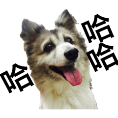 Happy hoo