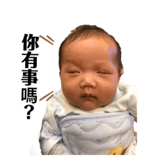 Jaco pondidi