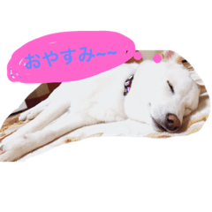 (^^)milk's life (^^)