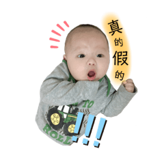 何包蛋陪你過日常