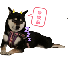 厭世柴yuki