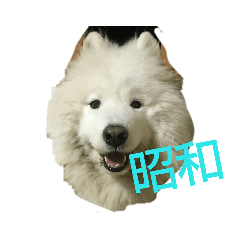 sky_20190510125458